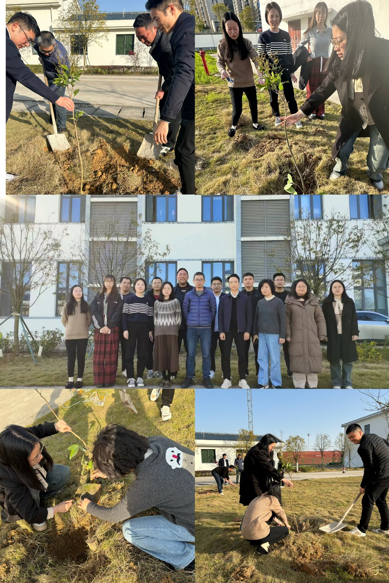 2024-3-12綠色陸港，美麗寧德，阮克妙拍攝.jpg